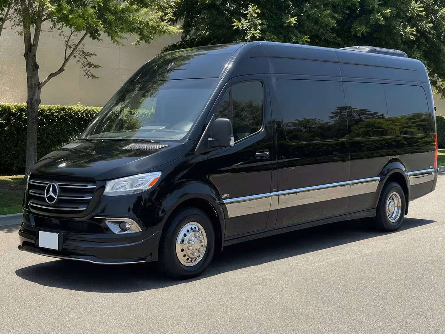 dover sprinter van rental with driver